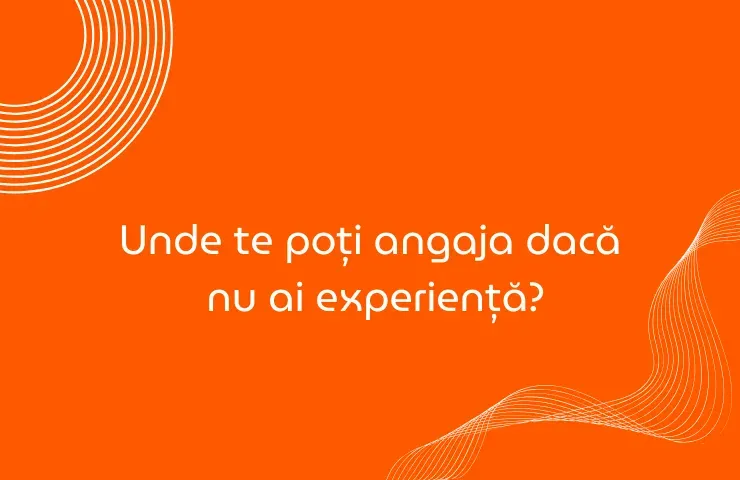 Unde te poti angaja daca nu ai experienta.webp
